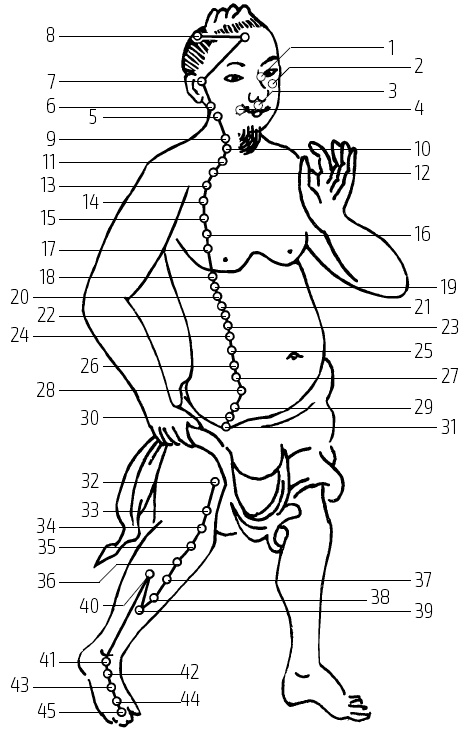 Иллюстрация к книге — Цигун – китайская гимнастика для здоровья. Современное руководство по древней методике исцеления [i_030.jpg]