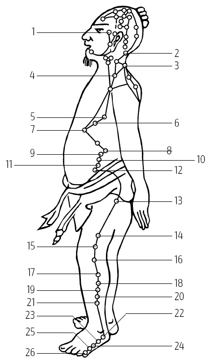 Иллюстрация к книге — Цигун – китайская гимнастика для здоровья. Современное руководство по древней методике исцеления [i_042.jpg]