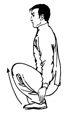 Иллюстрация к книге — Цигун – китайская гимнастика для здоровья. Современное руководство по древней методике исцеления [i_077.jpg]