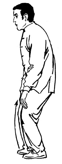 Иллюстрация к книге — Цигун – китайская гимнастика для здоровья. Современное руководство по древней методике исцеления [i_078.jpg]