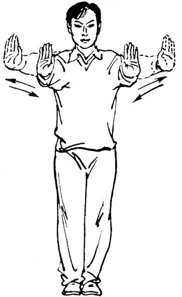 Иллюстрация к книге — Цигун – китайская гимнастика для здоровья. Современное руководство по древней методике исцеления [i_099.jpg]