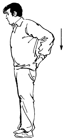 Иллюстрация к книге — Цигун – китайская гимнастика для здоровья. Современное руководство по древней методике исцеления [i_113.jpg]