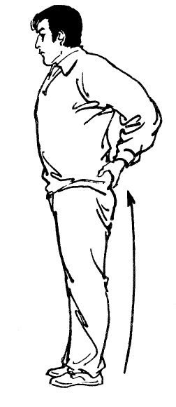 Иллюстрация к книге — Цигун – китайская гимнастика для здоровья. Современное руководство по древней методике исцеления [i_115.jpg]