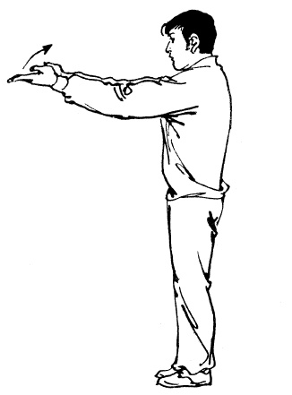 Иллюстрация к книге — Цигун – китайская гимнастика для здоровья. Современное руководство по древней методике исцеления [i_125.jpg]