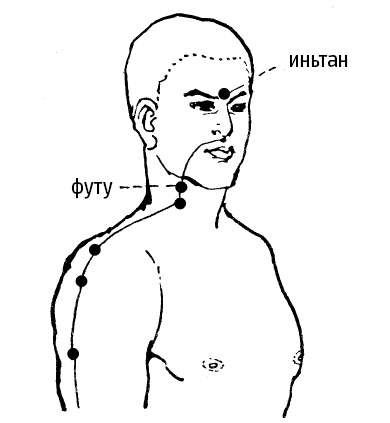 Иллюстрация к книге — Цигун – китайская гимнастика для здоровья. Современное руководство по древней методике исцеления [i_141.jpg]