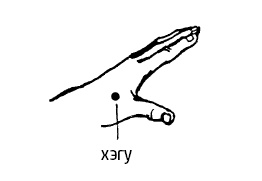 Иллюстрация к книге — Цигун – китайская гимнастика для здоровья. Современное руководство по древней методике исцеления [i_165.jpg]