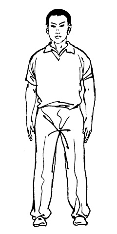 Иллюстрация к книге — Цигун – китайская гимнастика для здоровья. Современное руководство по древней методике исцеления [i_236.jpg]