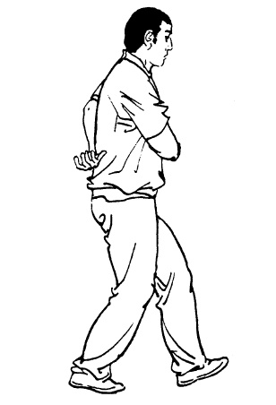 Иллюстрация к книге — Цигун – китайская гимнастика для здоровья. Современное руководство по древней методике исцеления [i_238.jpg]