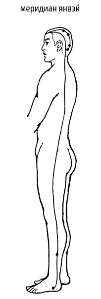 Иллюстрация к книге — Цигун – китайская гимнастика для здоровья. Современное руководство по древней методике исцеления [i_251.jpg]