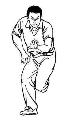 Иллюстрация к книге — Цигун – китайская гимнастика для здоровья. Современное руководство по древней методике исцеления [i_258.jpg]