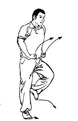 Иллюстрация к книге — Цигун – китайская гимнастика для здоровья. Современное руководство по древней методике исцеления [i_263.jpg]