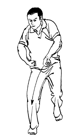 Иллюстрация к книге — Цигун – китайская гимнастика для здоровья. Современное руководство по древней методике исцеления [i_266.jpg]