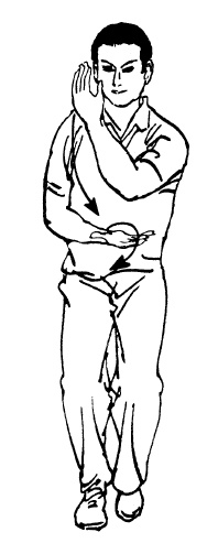 Иллюстрация к книге — Цигун – китайская гимнастика для здоровья. Современное руководство по древней методике исцеления [i_268.jpg]