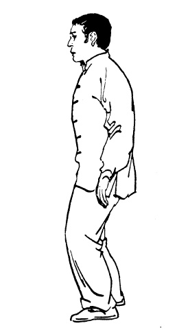 Иллюстрация к книге — Цигун – китайская гимнастика для здоровья. Современное руководство по древней методике исцеления [i_287.jpg]