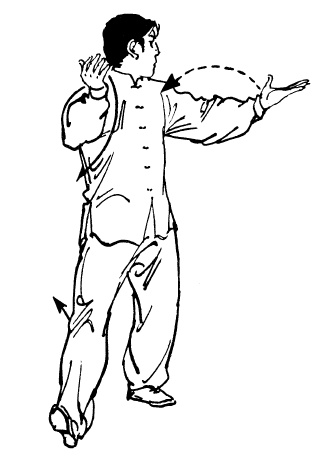 Иллюстрация к книге — Цигун – китайская гимнастика для здоровья. Современное руководство по древней методике исцеления [i_322.jpg]