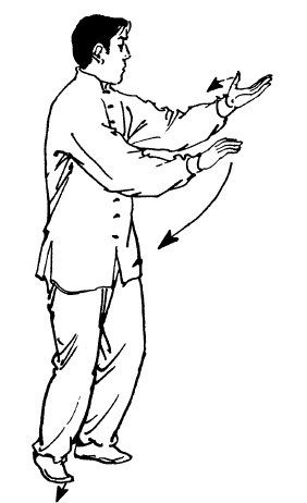 Иллюстрация к книге — Цигун – китайская гимнастика для здоровья. Современное руководство по древней методике исцеления [i_331.jpg]