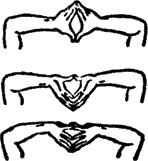 Иллюстрация к книге — Диета по методу Гогулан. Долой лишний вес [i_018.jpg]