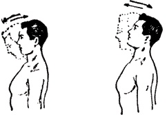 Иллюстрация к книге — Диета по методу Гогулан. Долой лишний вес [i_023.jpg]