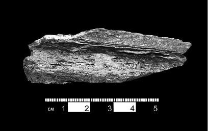 Иллюстрация к книге — Неандерталец. В поисках исчезнувших геномов [_16.jpg]