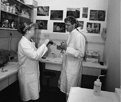 Иллюстрация к книге — Неандерталец. В поисках исчезнувших геномов [_8.jpg]