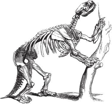 Иллюстрация к книге — Неандерталец. В поисках исчезнувших геномов [_9.jpg]