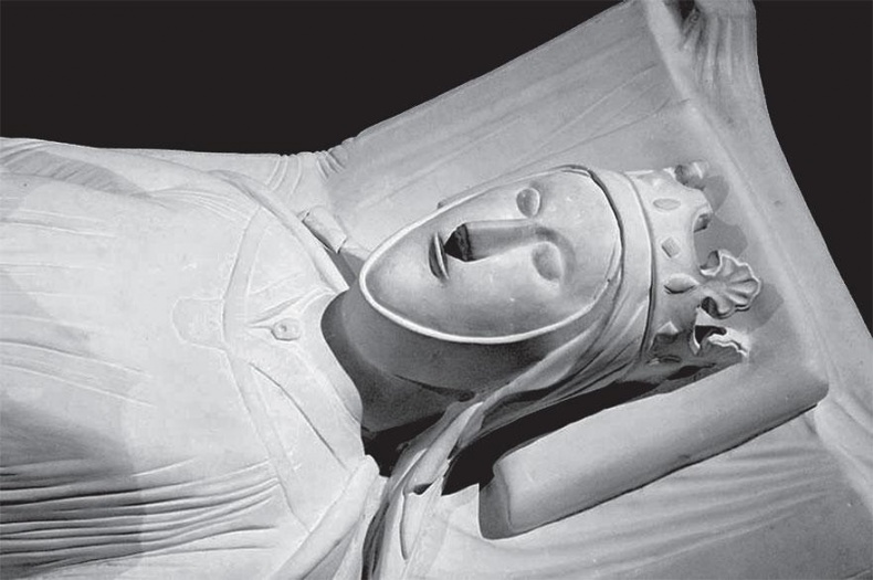 Иллюстрация к книге — История Франции [_25.jpg]