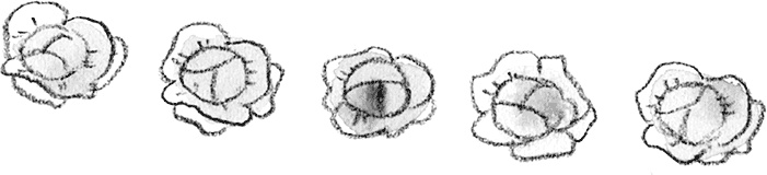 Иллюстрация к книге — Дори и чёрный барашек [i_094.jpg]