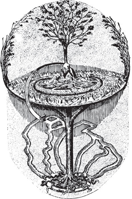 Иллюстрация к книге — Время после. Освенцим и ГУЛАГ: мыслить абсолютное зло [i_007.jpg]