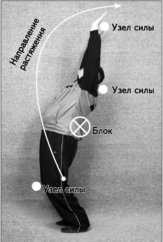 Иллюстрация к книге — Своды Славянской гимнастики [_178.jpg]