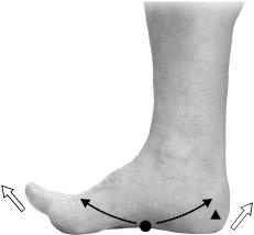 Иллюстрация к книге — Своды Славянской гимнастики [_204.jpg]