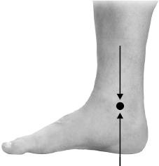 Иллюстрация к книге — Своды Славянской гимнастики [_212.jpg]