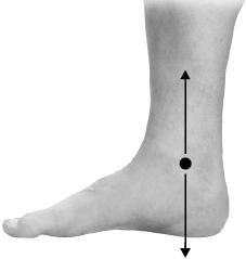 Иллюстрация к книге — Своды Славянской гимнастики [_213.jpg]