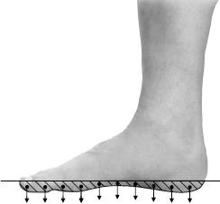 Иллюстрация к книге — Своды Славянской гимнастики [_214.jpg]