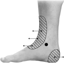 Иллюстрация к книге — Своды Славянской гимнастики [_216.jpg]