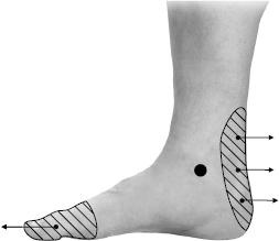 Иллюстрация к книге — Своды Славянской гимнастики [_217.jpg]