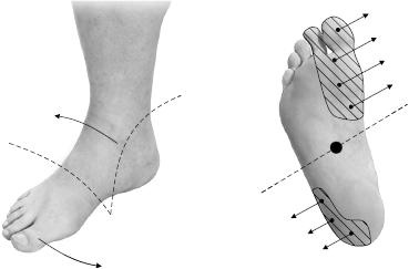 Иллюстрация к книге — Своды Славянской гимнастики [_219.jpg]