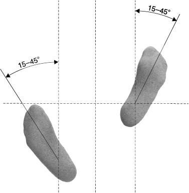 Иллюстрация к книге — Своды Славянской гимнастики [_221.jpg]