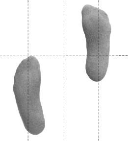 Иллюстрация к книге — Своды Славянской гимнастики [_222.jpg]