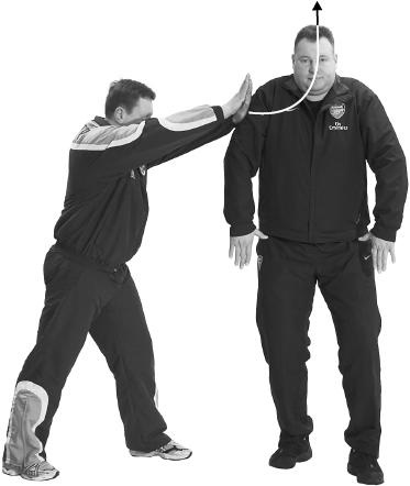 Иллюстрация к книге — Своды Славянской гимнастики [_229.jpg]