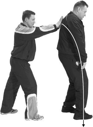 Иллюстрация к книге — Своды Славянской гимнастики [_234.jpg]