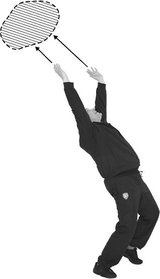 Иллюстрация к книге — Своды Славянской гимнастики [_278.jpg]