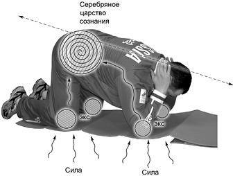 Иллюстрация к книге — Своды Славянской гимнастики [_283.jpg]