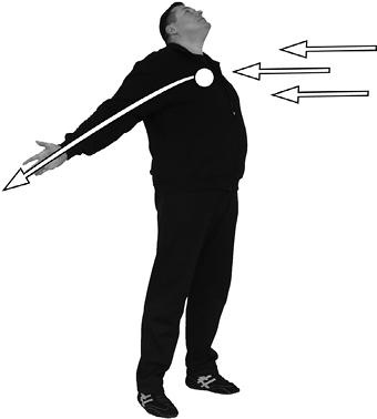 Иллюстрация к книге — Своды Славянской гимнастики [_77.jpg]