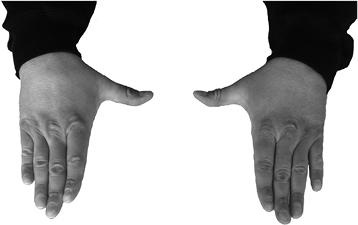 Иллюстрация к книге — Своды Славянской гимнастики [_81.jpg]