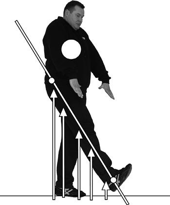 Иллюстрация к книге — Своды Славянской гимнастики [_82.jpg]