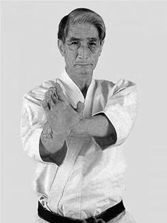 Иллюстрация к книге — Энциклопедия каратэ. История и философия, теория и практика, педагогические принципы и методики обучения [_106_fmt.jpg]