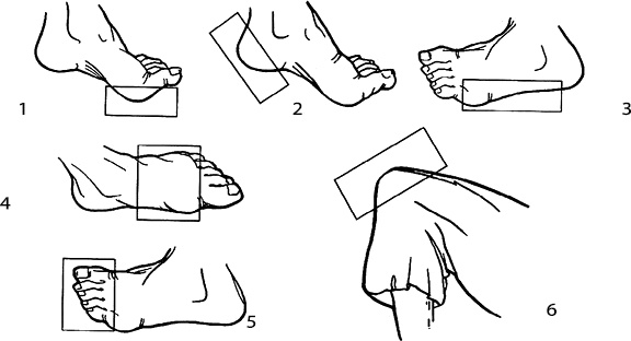 Иллюстрация к книге — Энциклопедия каратэ. История и философия, теория и практика, педагогические принципы и методики обучения [_116864.jpg]