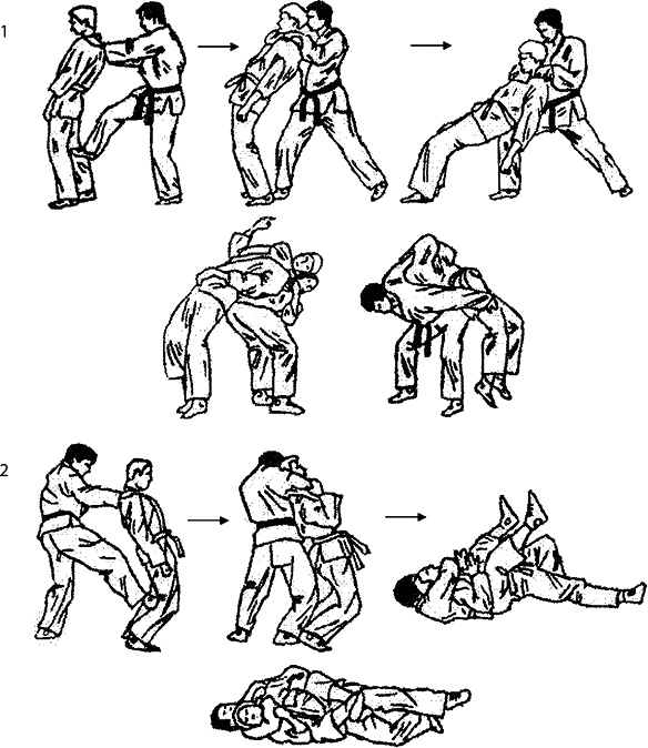 Иллюстрация к книге — Энциклопедия каратэ. История и философия, теория и практика, педагогические принципы и методики обучения [_116937.jpg]