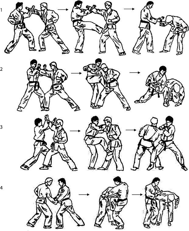 Иллюстрация к книге — Энциклопедия каратэ. История и философия, теория и практика, педагогические принципы и методики обучения [_116949.jpg]