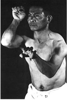 Иллюстрация к книге — Энциклопедия каратэ. История и философия, теория и практика, педагогические принципы и методики обучения [_117_fmt.jpg]